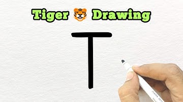 T for 🐯 Tiger Drawing | How to Draw Tiger Step by Step | Beautiful Tiger Drawing 