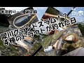 犀川グランドスラム?4種のトラウトが釣れた日(本流釣りーく第2回)