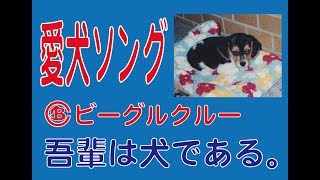 犬のうた。愛犬を歌った名曲