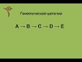 Как интерпретировать генетические цепочки?