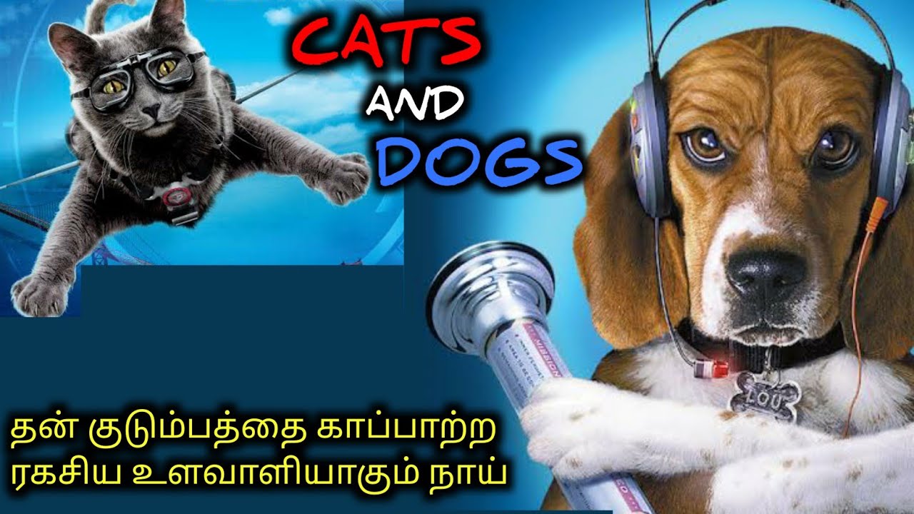 கலகலப்பான காமெடி திரைப்படம்|TVO|Tamil Voice Over|Tamil Dubbed Movies Explanation|Tamil Movies