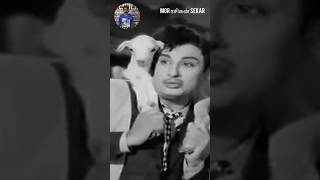 MGR Hit Song  Old Hit song MGR Best Movie Song #mgr #mgrstatus #oldisgold #oldsongs #tamil