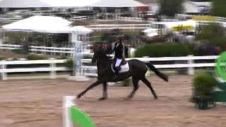Video Of Caruso 420 Ridden By Claudia Villamil From Shownet