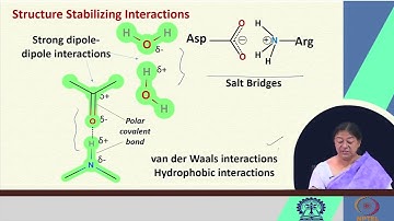 Thermodynamics of Protein Folding #swayamprabha #CH17SP