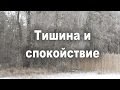 Э. Толле. Тишина и спокойствие. Медитация