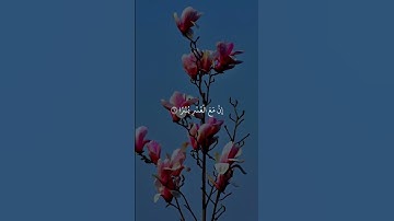 قرآن كريم #احمدالعجمي #القرآن_الكريم #القران_الكريم_راحه_نفسية #دويتو #اكسبلور #تيك_توك