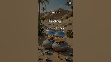 #capcut #سورة البينة #القران_الكريم #المصحف #اكسبلور