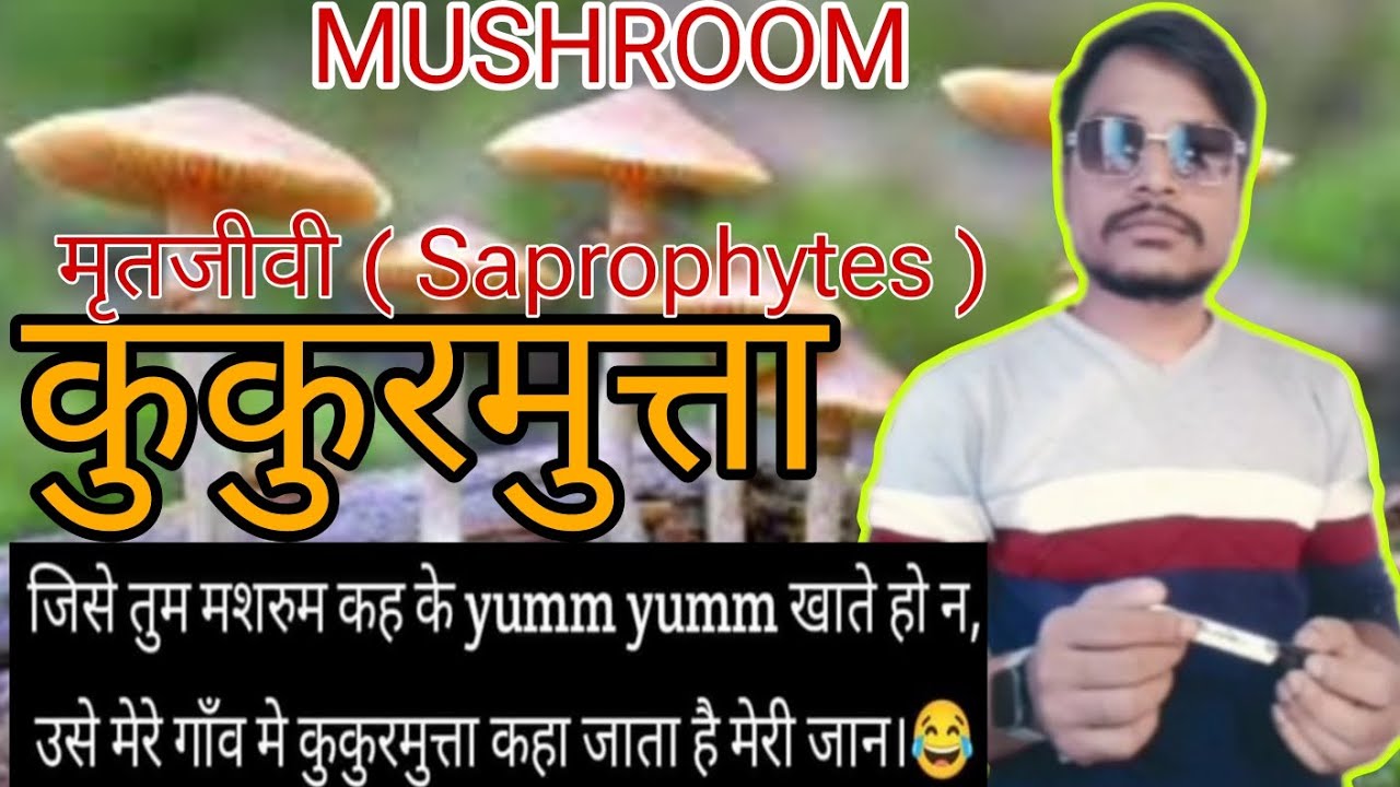 what-is-saprophytic-nutrition-biology