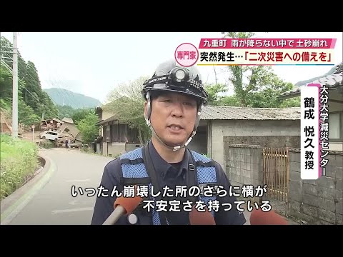 水害は人災だ: 森は死んでいる978 Sudden Landslide: Expert Investigates; 