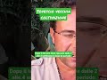 Sovescio vecchia coltivazione Orto 🧑u200d🌾