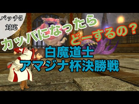 【FF14】アマジナ杯闘技会決勝戦にヒーラー(白魔道士)で挑戦【新生編の討滅戦】