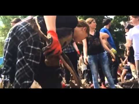 მოხალისეები