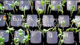 marika is sleeping - the japanese house // lyrics