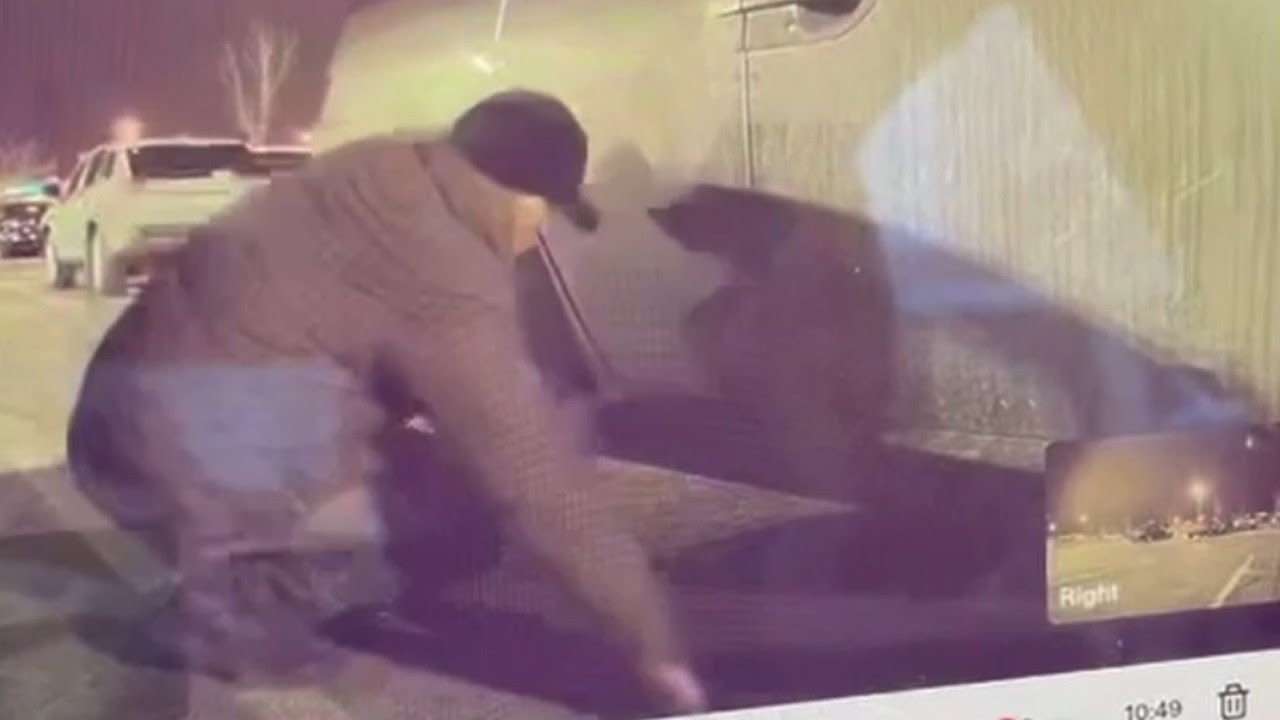 Tesla camera catches catalytic converter theft in Murray