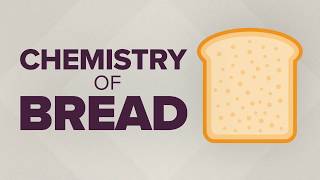 BIG BANG THEORIES: The Science of Bread