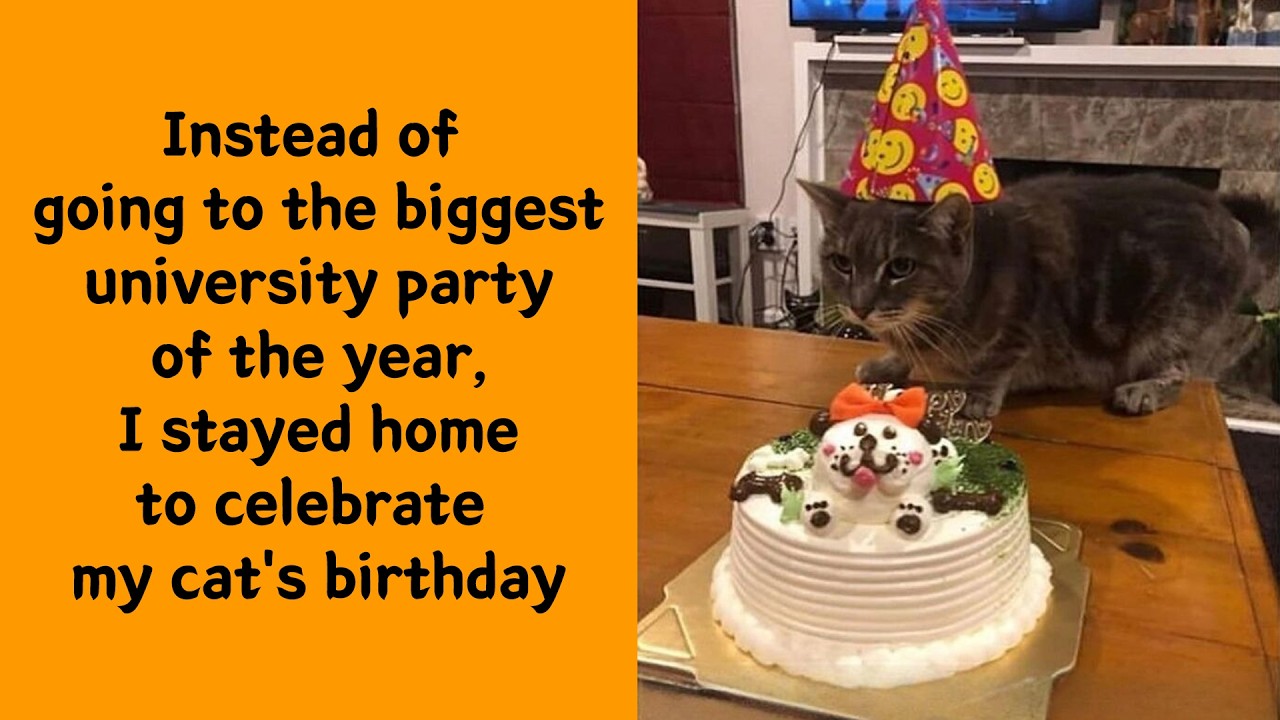 50 Silly Cats Just Vibing Through Life