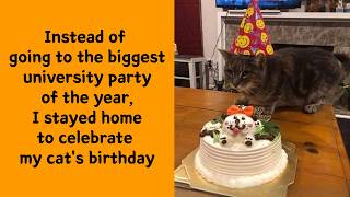 50 Silly Cats Just Vibing Through Life