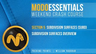 Celebrity Modo Essentials 12 - S5 Subdivision Surfaces Net Worth