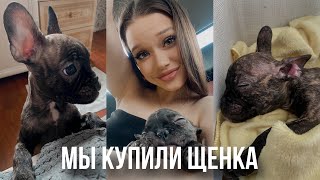 МЫ ЗАВЕЛИ СОБАКУ🐶первые дни французского бульдога дома