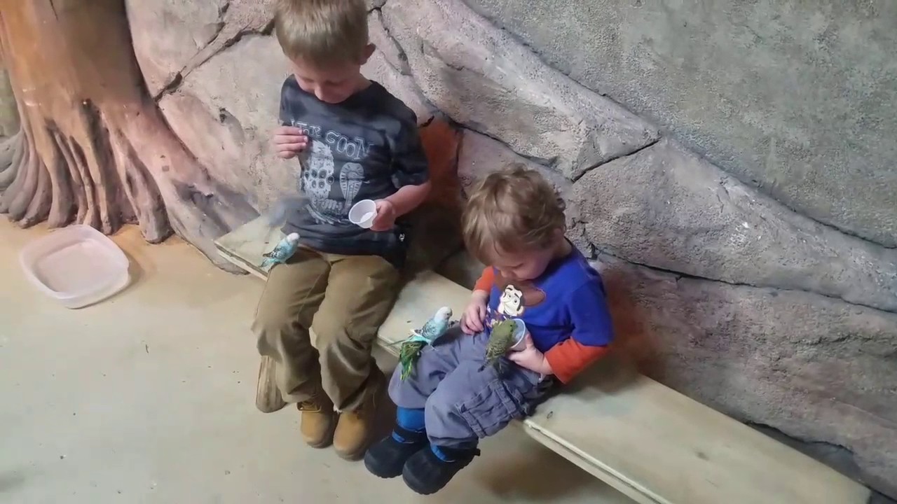 Seaquest aquarium Layton YouTube