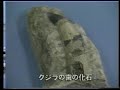 千波湖の歴史と自然