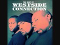 Westside connection  terrorist threats the best of westside connection