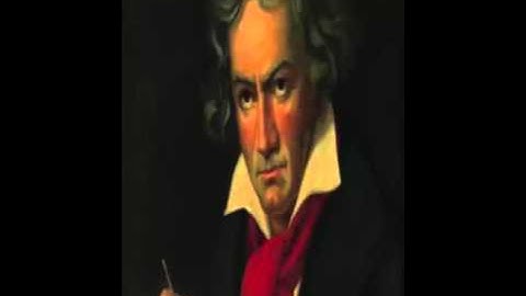 Beethoven - Symphony No. 5 (1 hour)