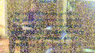 Famous Small Steps Wealth