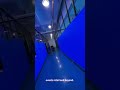 LED information screen OEM/ODM Chinese cheap LED screen Customization upon request factory Chinese