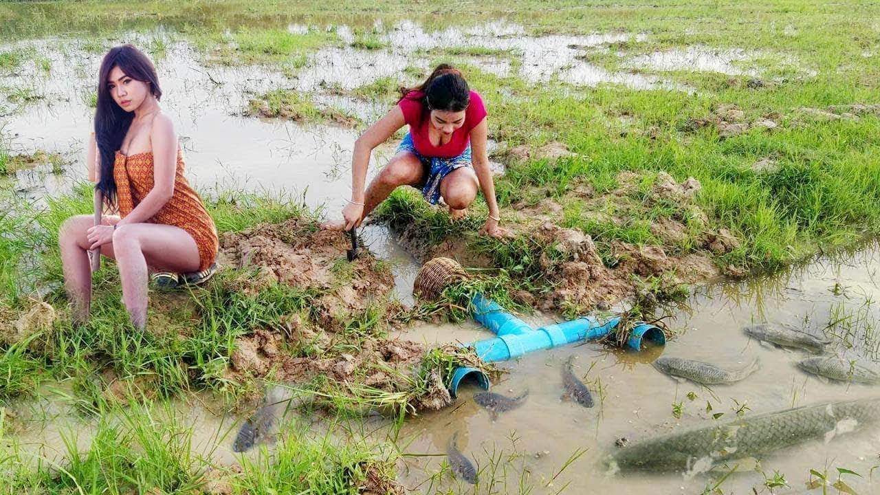 Amazing Fishing at Battambang - How to Fishing At Cambodia - By Pailin Ever