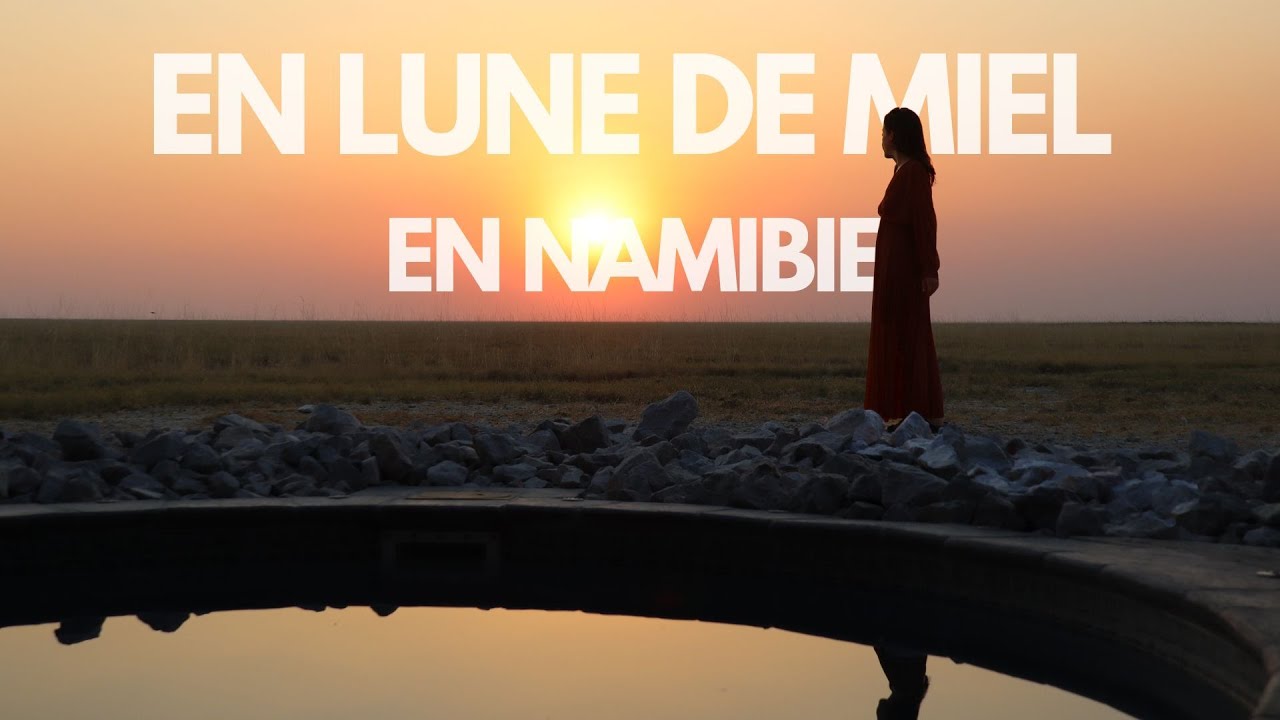 ON CONTINUE LE SAFARI À ETOSHA | VOYAGE DE NOCES EN NAMIBIE 🇳🇦