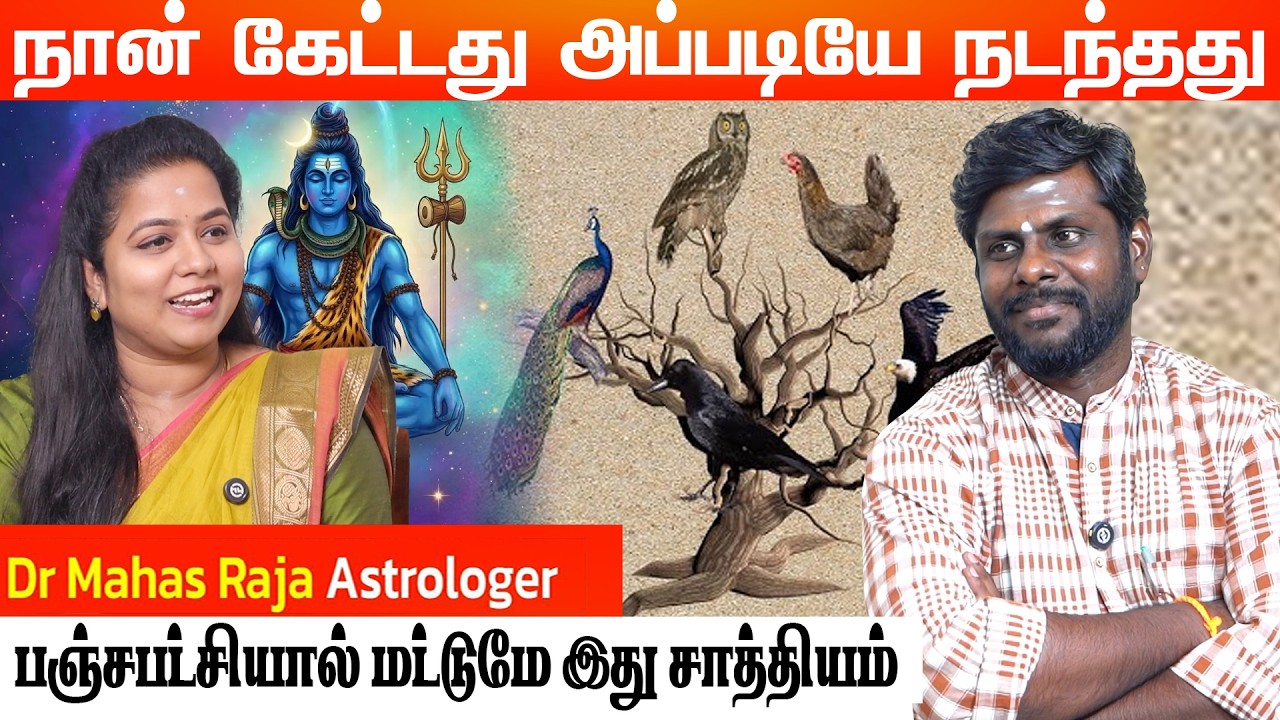 என் வாழ்க்கையில் பஞ்ச பட்சி செய்த அதிசயம் | Astro Numerology Dr. Mahas Raja #panchapakshisasthra