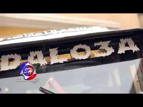 فيفي بطلنا اللي يعطلنا