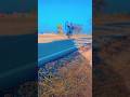 wille off the 90°cycle rider #stunt #shortvideo #trending #viralvideo