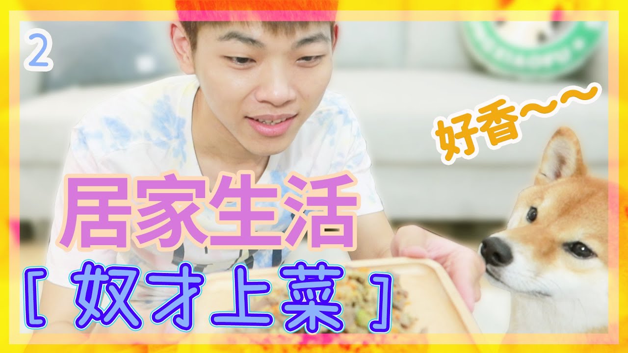 【柴犬抖宅大人】奴才上菜～宅爸又會端出什麼料理呢？