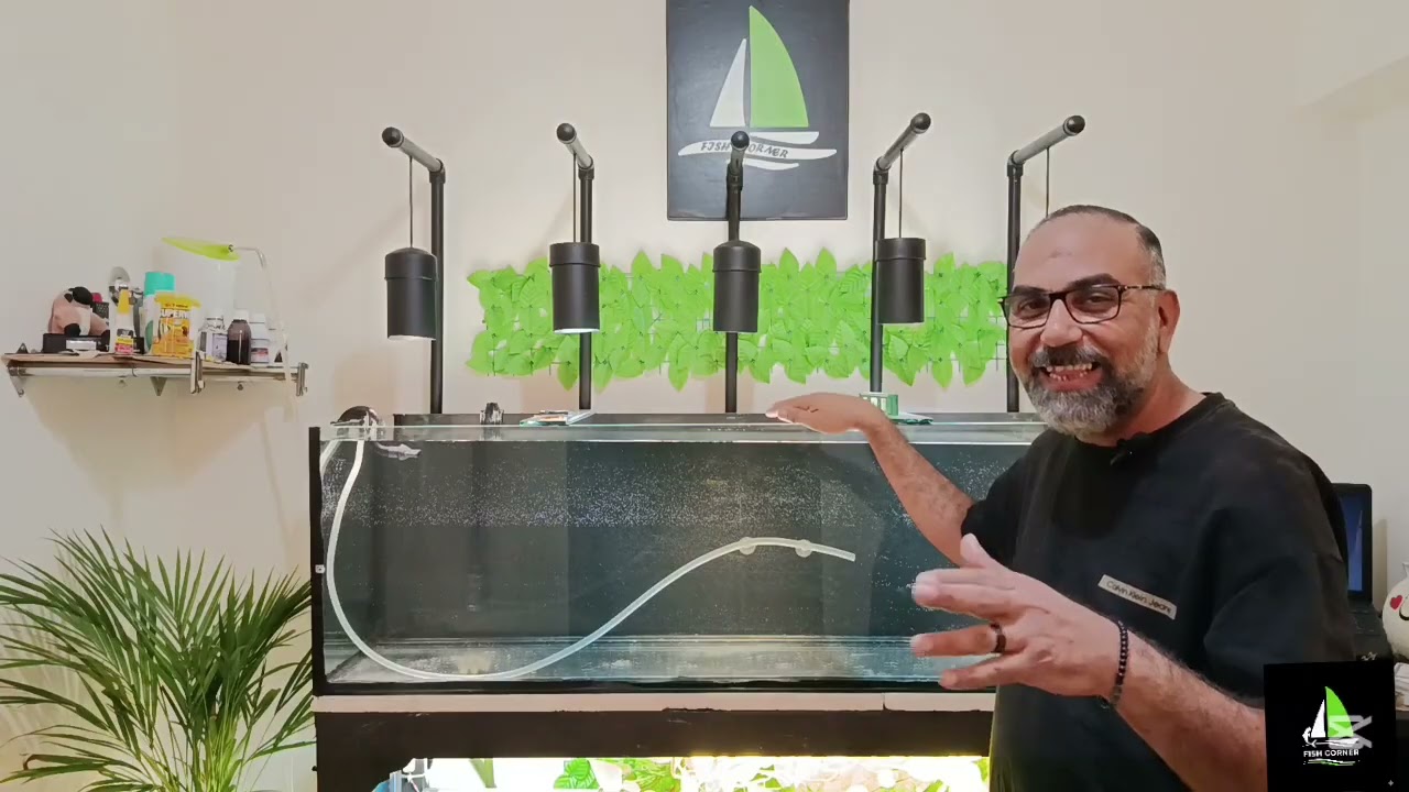 طريقه عمل حوض كبير ١٥٠سم  