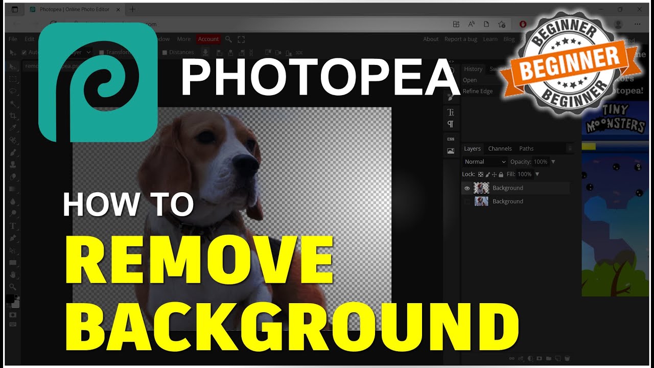 Photopea  Online Photo Editor