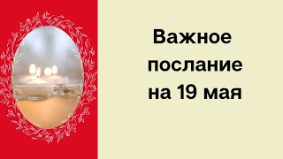 Важное послание на 19 мая. Настойчивость и сила.