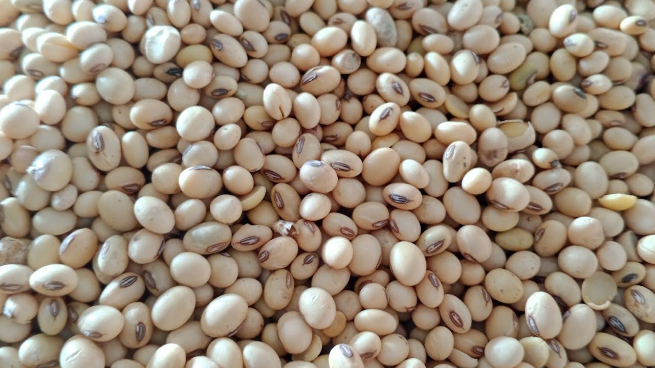 आष्टा मंडी आज का #सोयाबीन भाव 27 फ़रवरी 2026