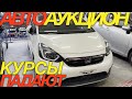 ЯПОНЦЫ ТОЛЬКО РАДЫ УКРЕПЛЕНИЮ РУБЛЯ / HONDA FIT SHUTTLE TOYOTA COROLLA AXIO RAIZE RENAULT CAPTUR