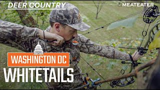 Washington D.C. Whitetails | Deer Country