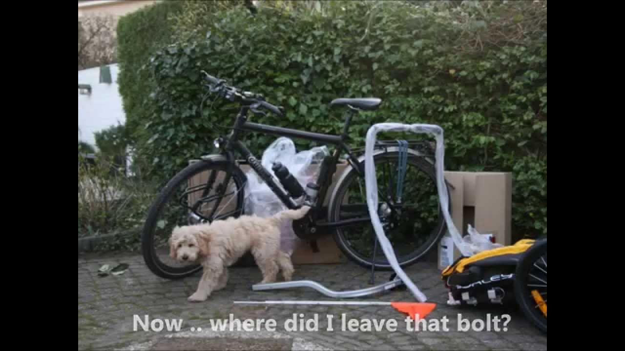 Lucky's Burley Tailwagon