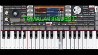 INSTRUMEN DI SINI DI BATAS KOTA INI COVER ORG || TAMALA PROJECT