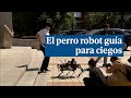 Así es el perro robot guía que identifica obstáculos y semáforos