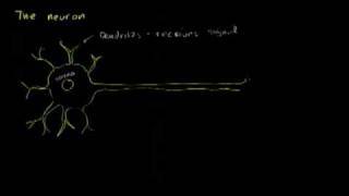 Future Talk 9-2, Redesigning Math Education