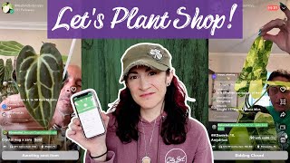 Shopping Live Sales On Palmstreet (PlantStory) + Wishlist Plant Unboxing screenshot 1