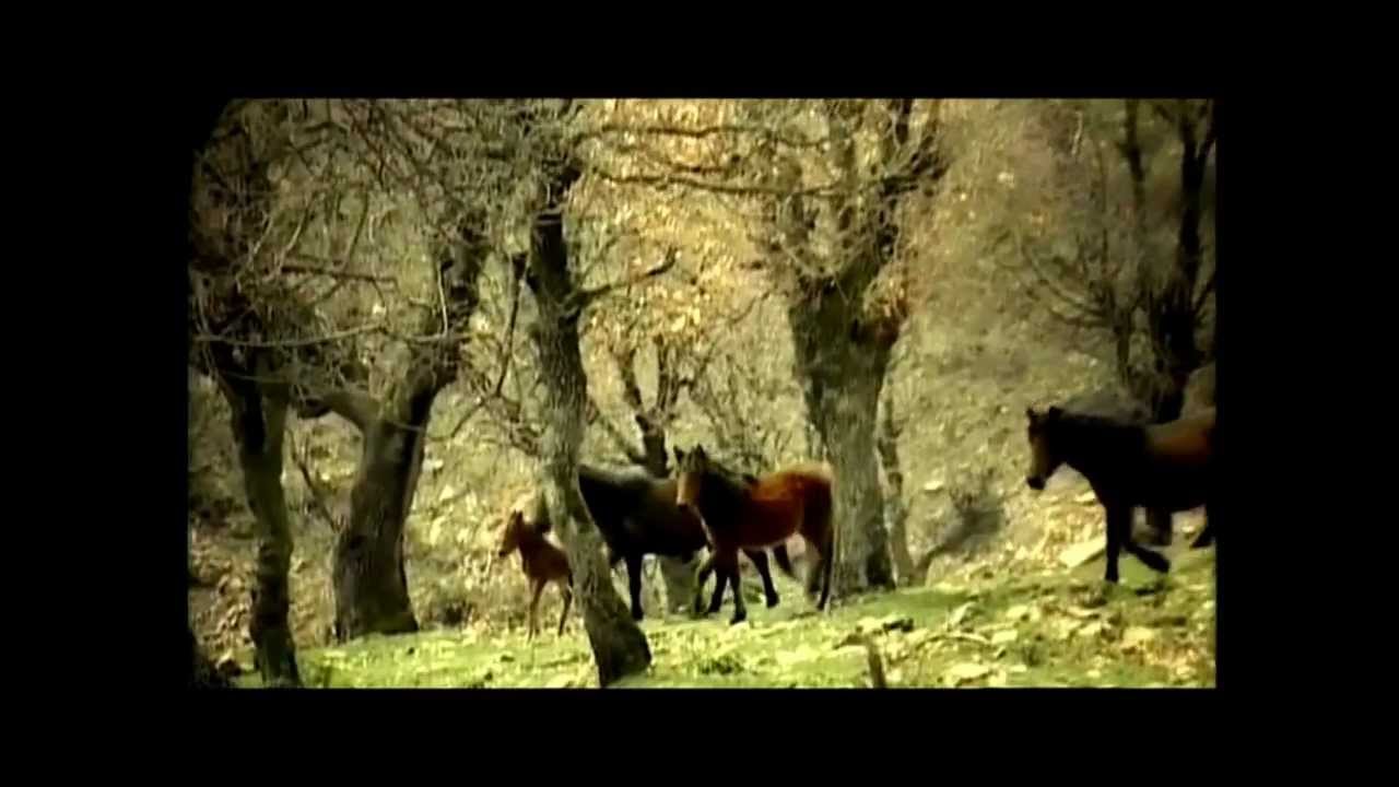 Ξάνθη Δραστηριότητες & Διαμονή - YouTube