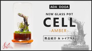 【ADA DOOA 新商品】ガラスポット『CELL  セル 』スペック・使い方を紹介！パルダリウムレイアウトも作ってみた！