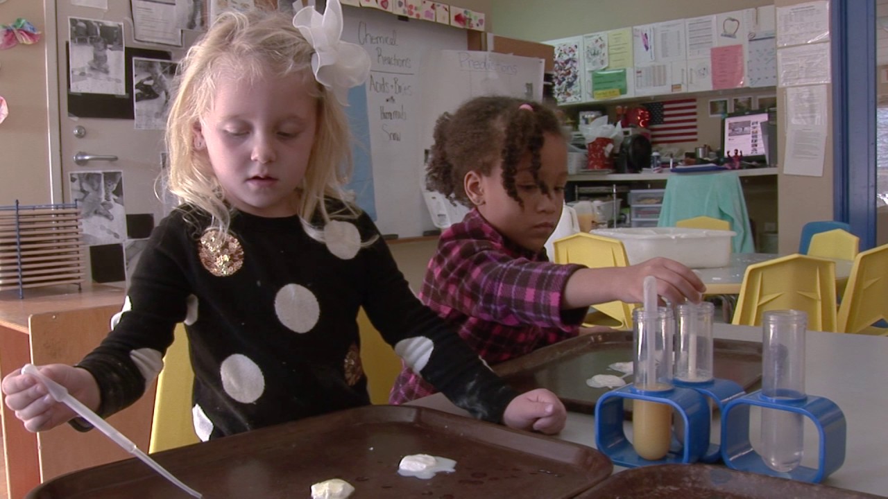 Co Teaching Model Overview