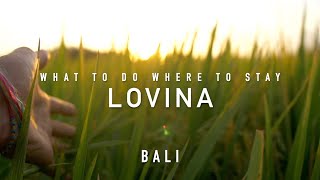 LOVINA WHAT TO DO WHERE TO GO BALI